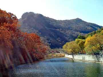 新澳天天开奖资料大全旅游团，黄山毛峰1875